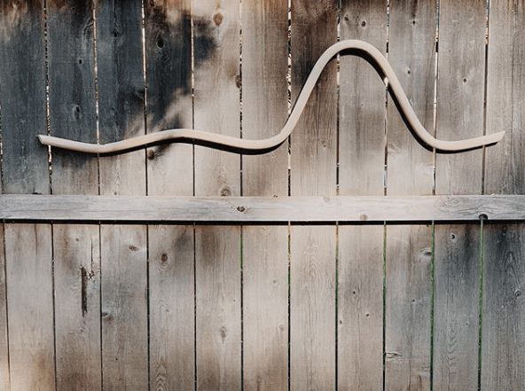 Wall Squiggle added by Katrina Greenwood