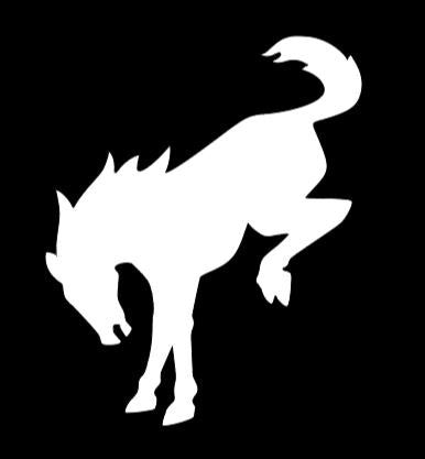 Bronco Horse Iron On Heat transfer Vinyl HTV Decal 4" 6" 8" 10" 12" Fo added by Spoak Member