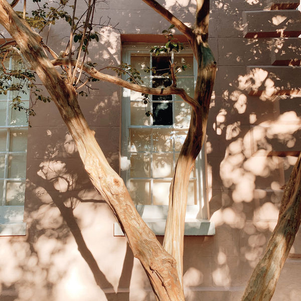 Summer Shadows by Alicia Bock on Artfully Walls added by Serena Finnerty