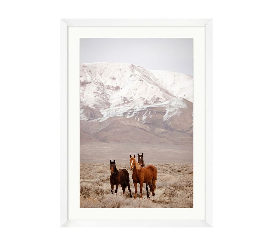 Wild Ones by Meg Haywood Sullivan added by Spoak Member