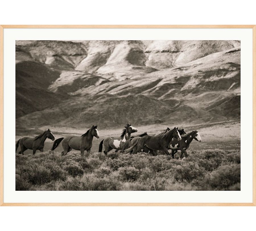 Herd of the Eastern Sierra by Meg Haywood Sullivan added by Spoak Member