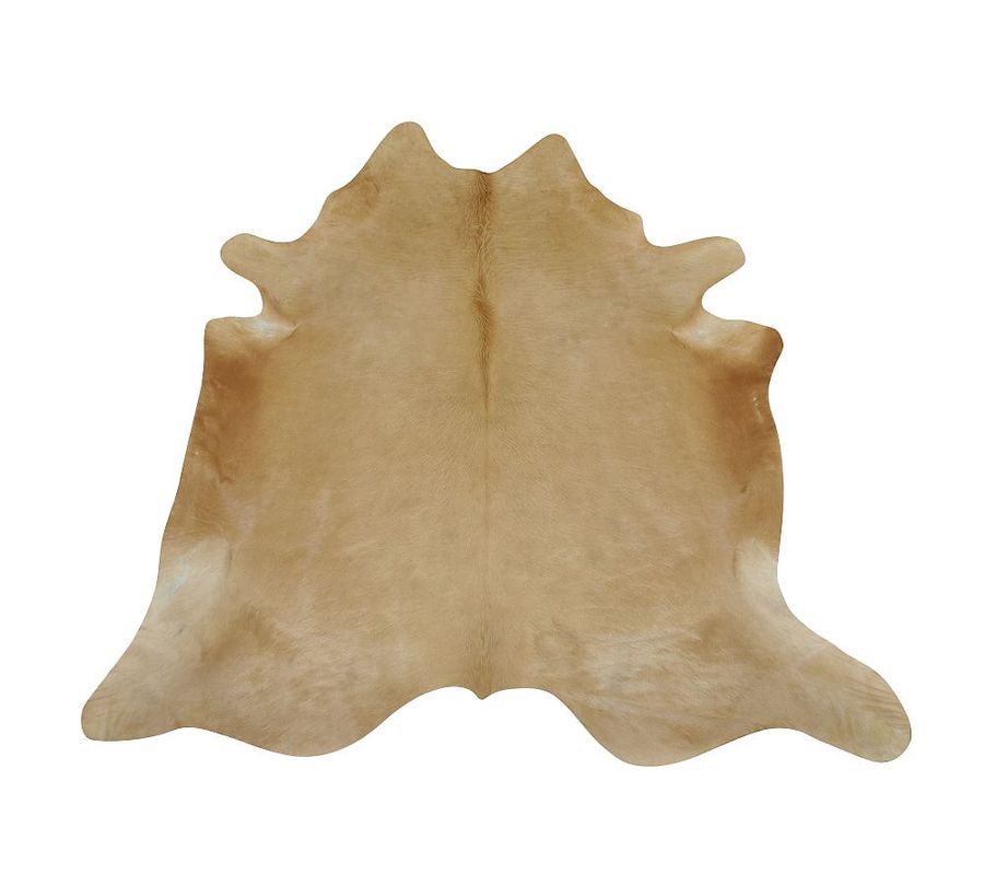 Cow Hide Rug added by Spoak Member