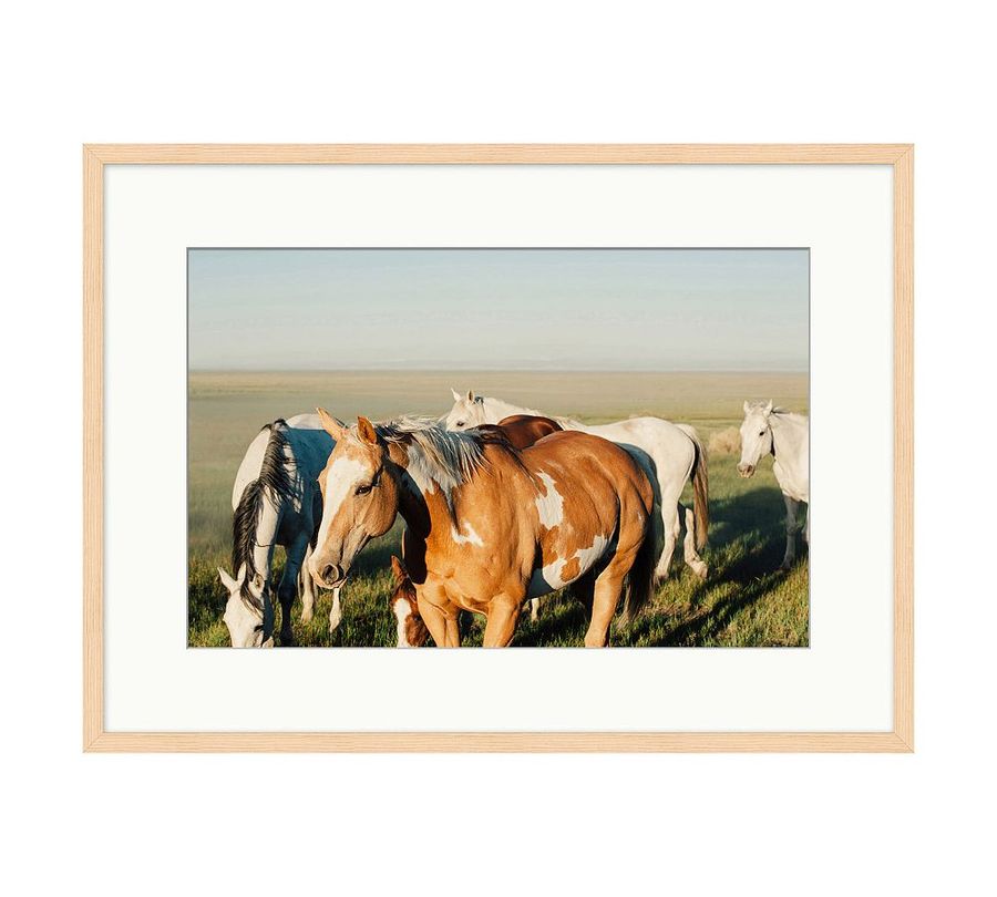Spirit of the West by Meg Haywood Sullivan added by Spoak Member