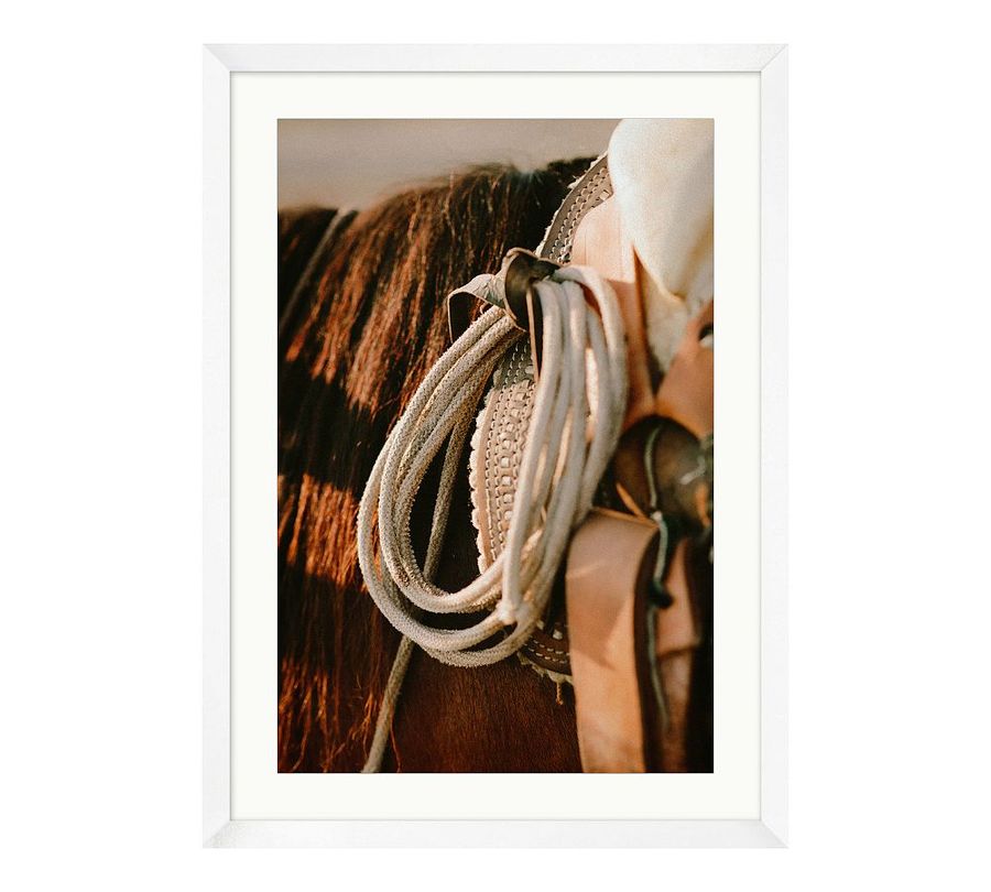 Cow Pony by Meg Haywood Sullivan added by Spoak Member