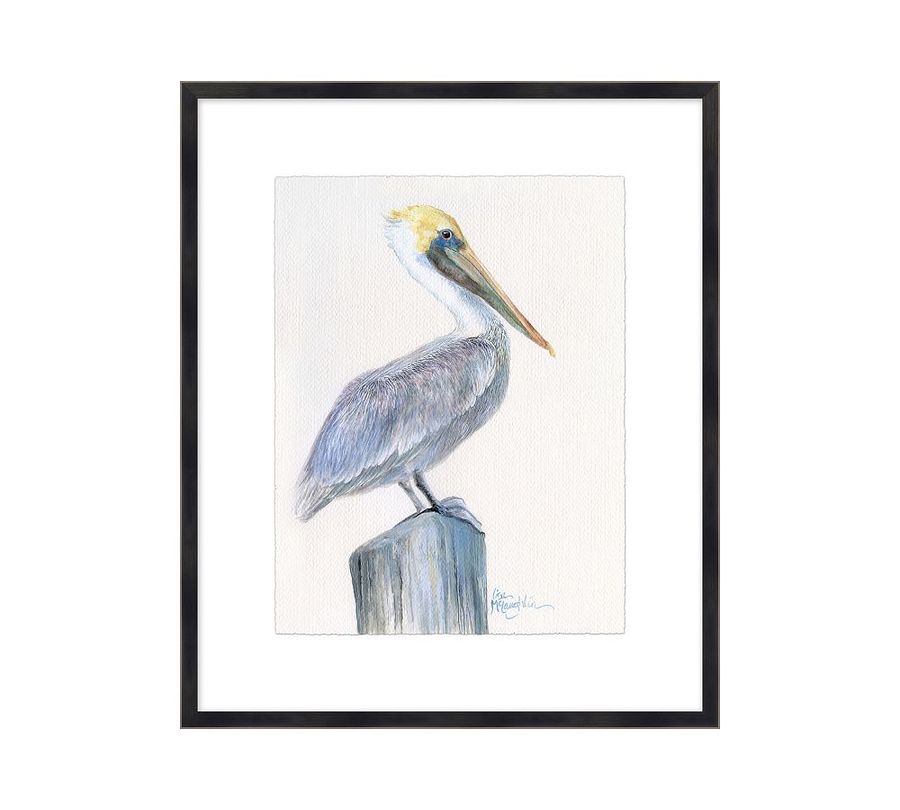 Pelican at Pier Framed Print added by Spoak Member