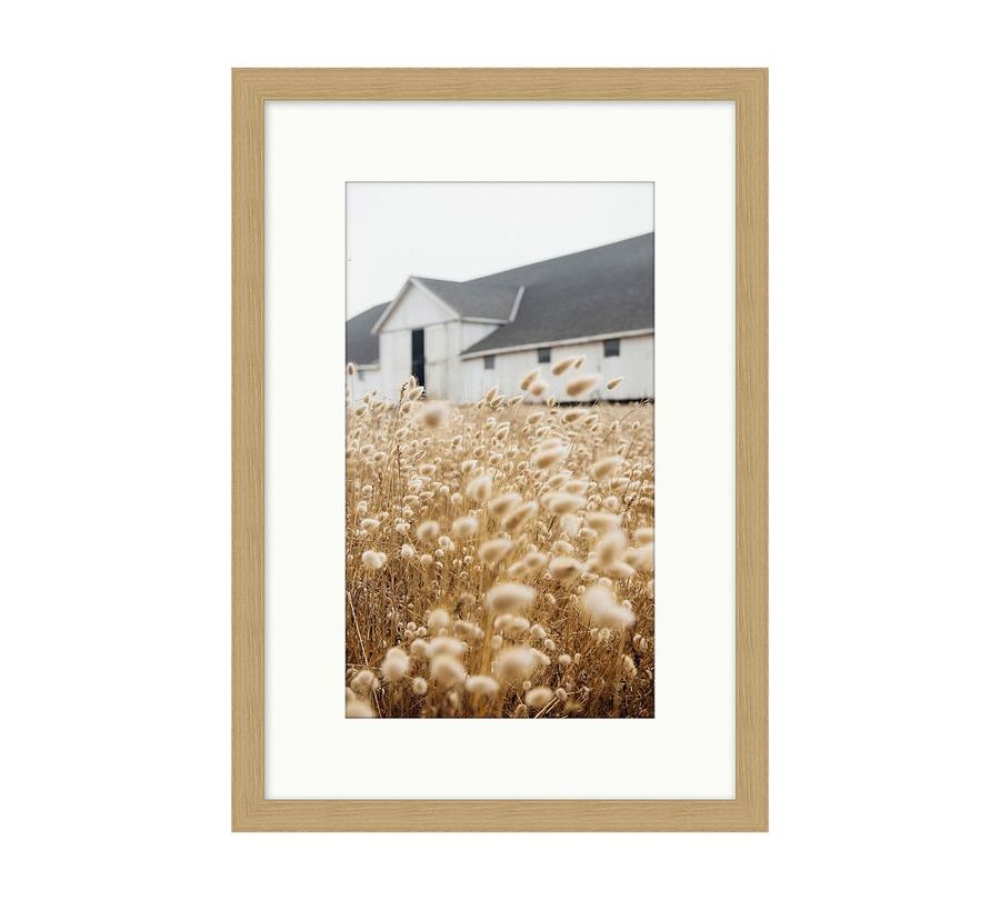 The Milk Barn by Meg Haywood Sullivan added by Spoak Member