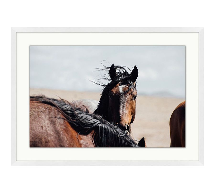Lone Star by Meg Haywood Sullivan added by Spoak Member