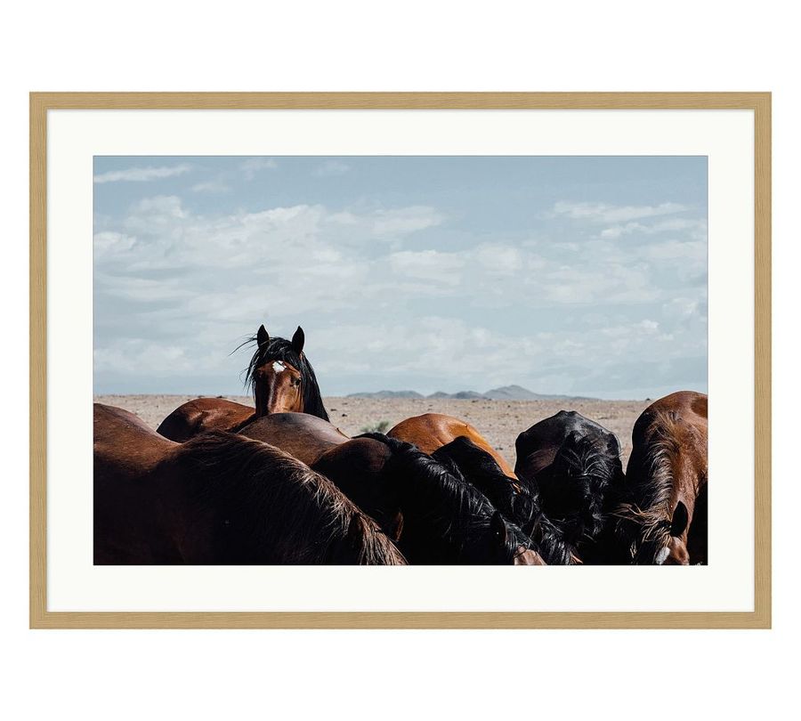 Pine Nut Mustangs by Meg Haywood Sullivan added by Spoak Member