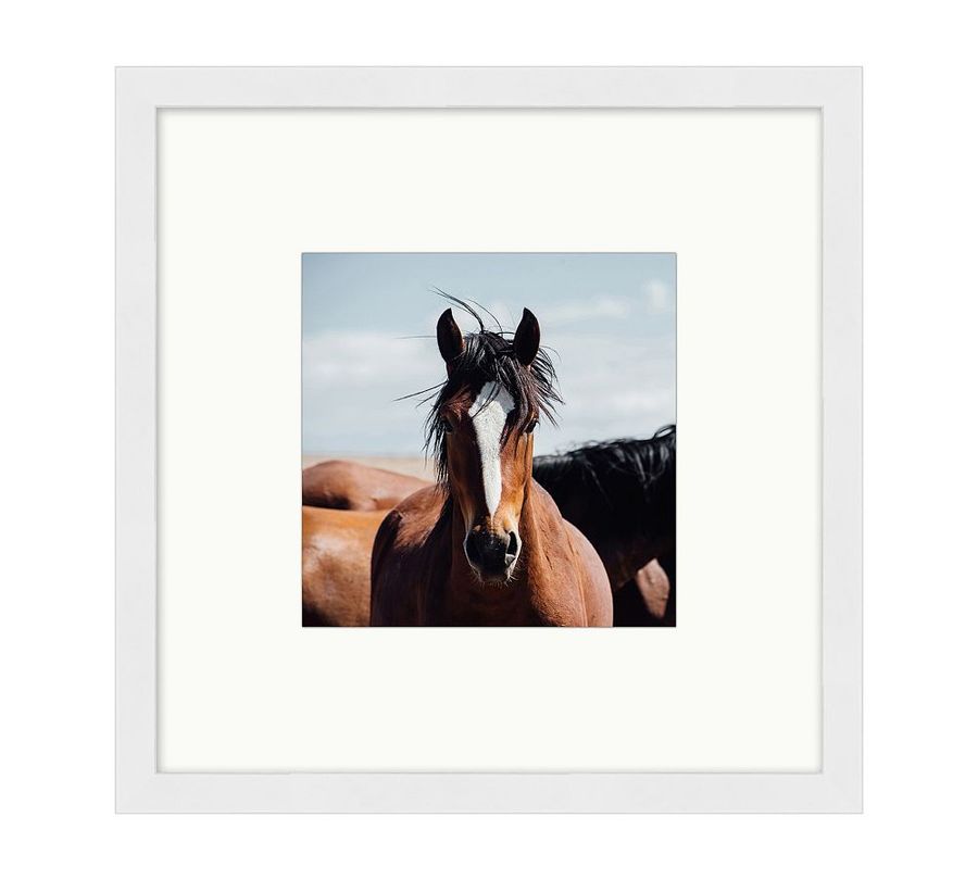 Born Wild by Meg Haywood Sullivan added by Spoak Member