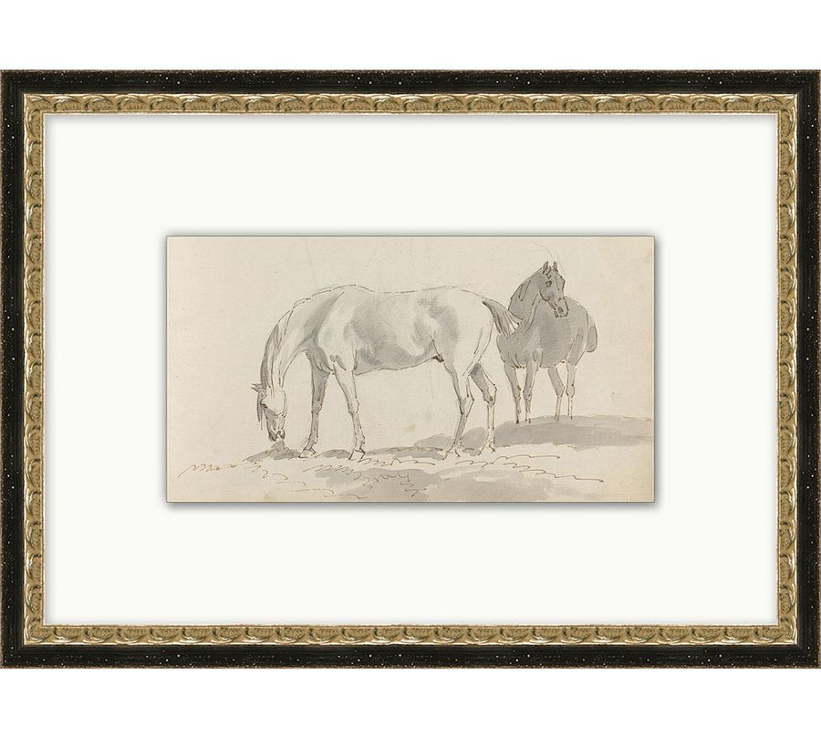Sketched Horses Framed Print added by Spoak Member