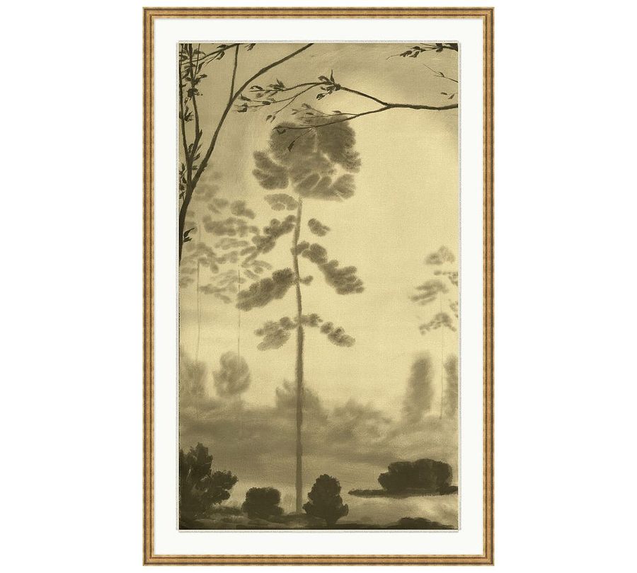 The Old Forest by Chelsea Fly added by Spoak Member