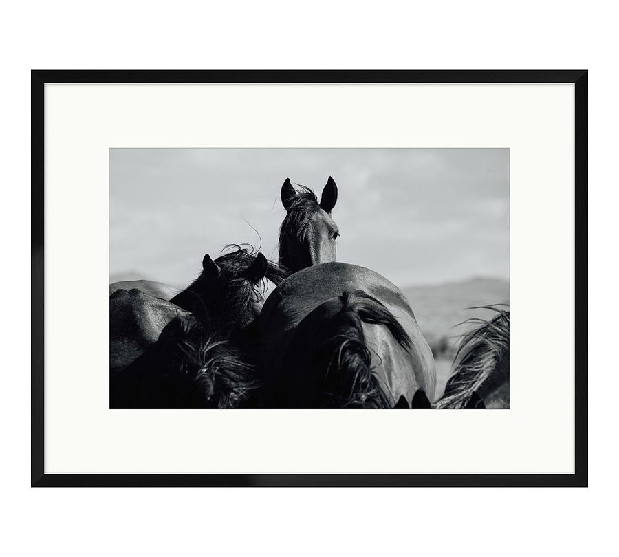 Spirit of the West by Meg Haywood Sullivan added by Spoak Member