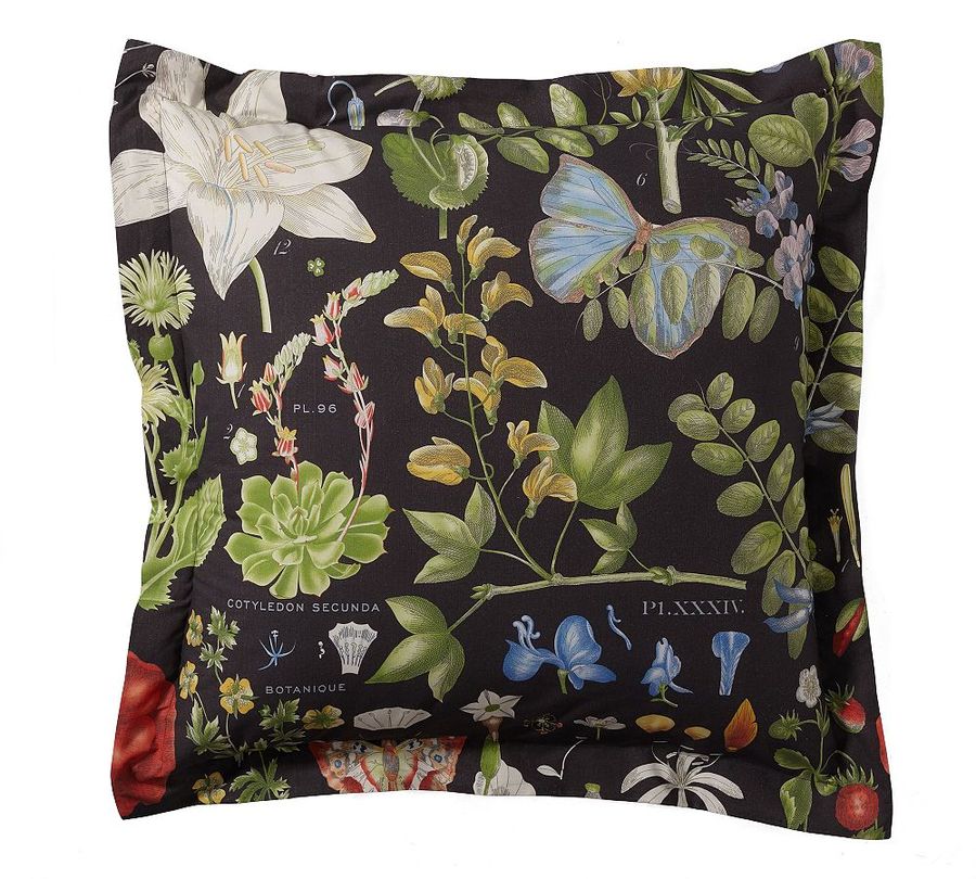 Poppy Percale Sham added by Spoak Member
