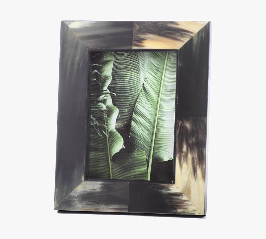 Black Horn Picture Frame added by Spoak Member