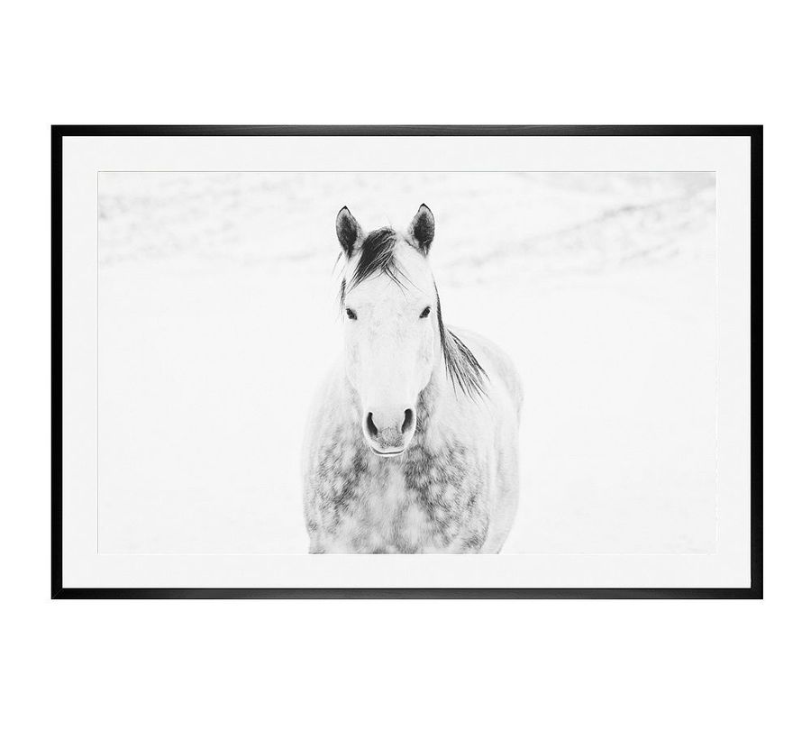 Winter White Horse Framed Print by Jennifer Meyers added by Spoak Member