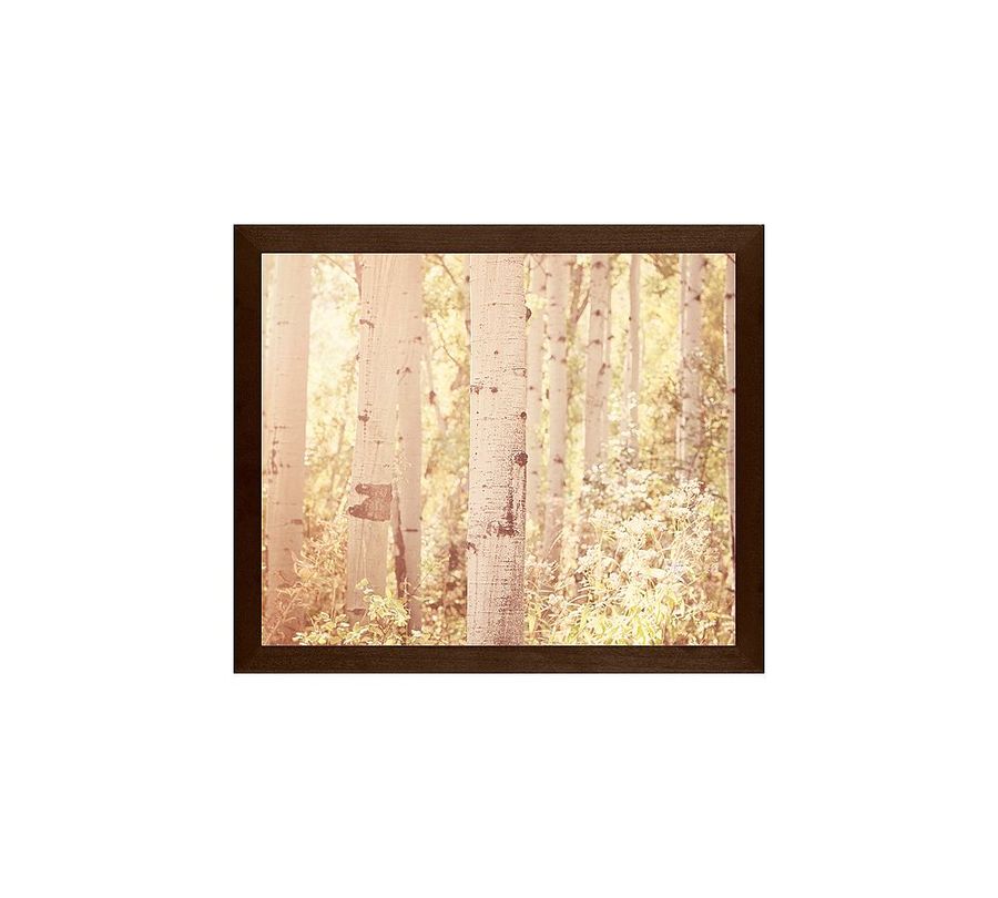 Aspen Dreams Framed Prints by Jennifer Meyers added by Spoak Member