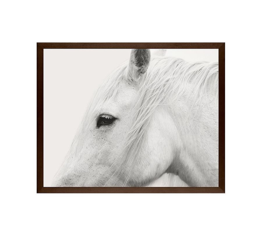 White Horse Framed Print by Jennifer Meyers added by Spoak Member
