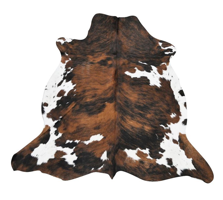 Tricolor Cow Hide Rug added by Spoak Member