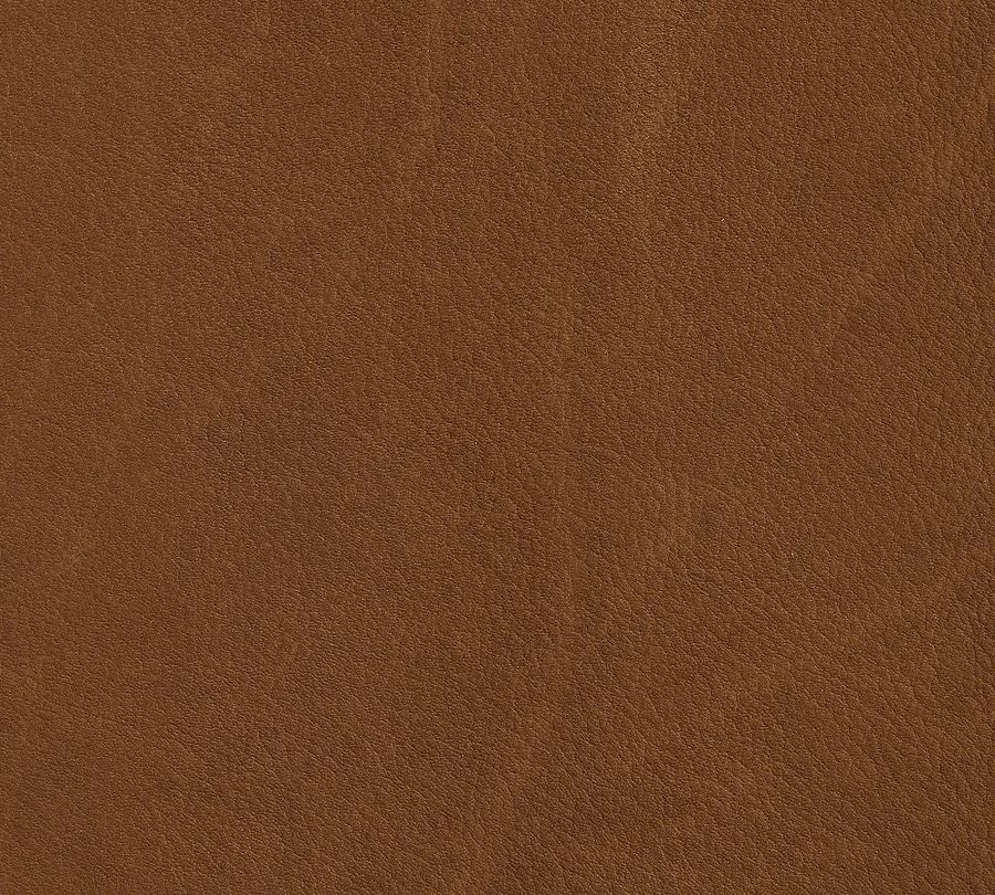 Jake Leather U-Shaped Sectional (145&quot;) added by Spoak Member