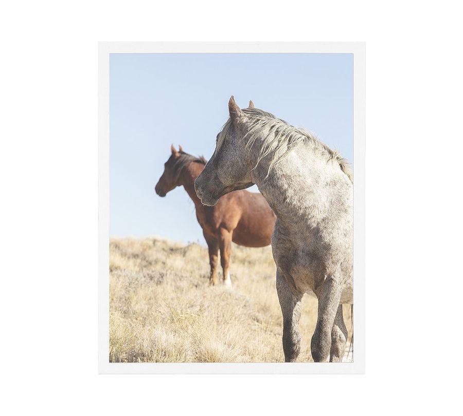 Attentive Horses by Jennifer Meyers added by Spoak Member