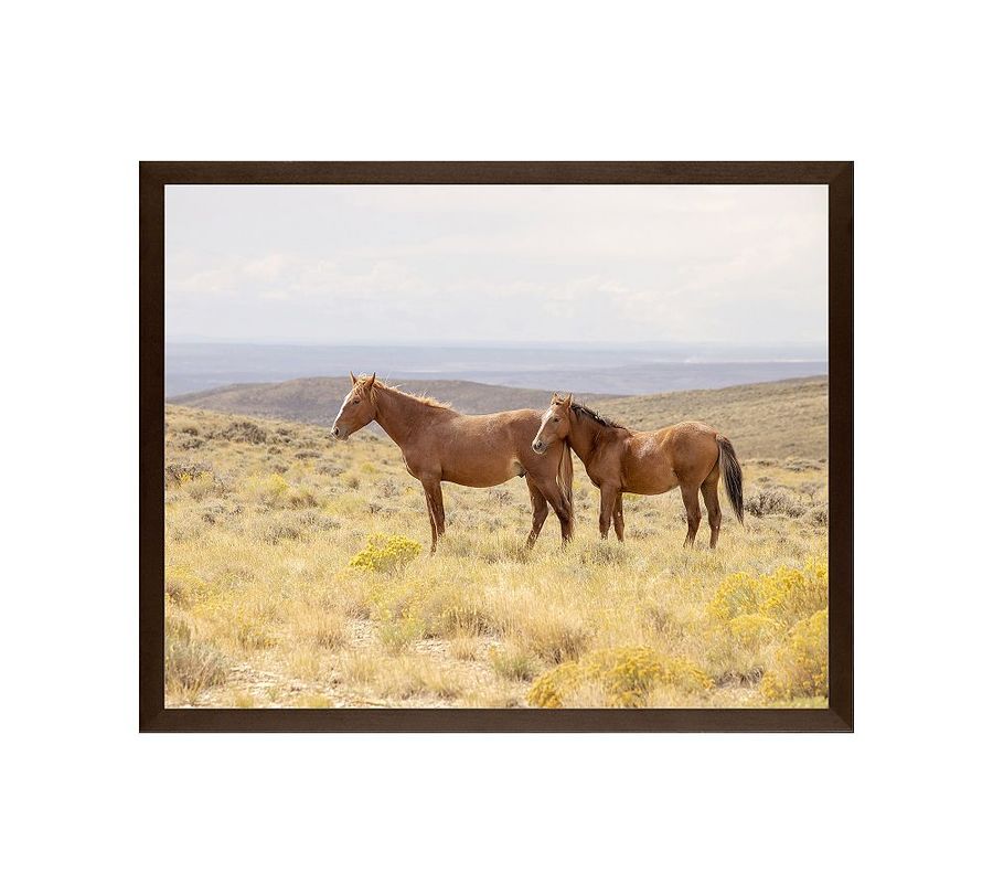 Mother And Foal by Jennifer Meyers added by Spoak Member
