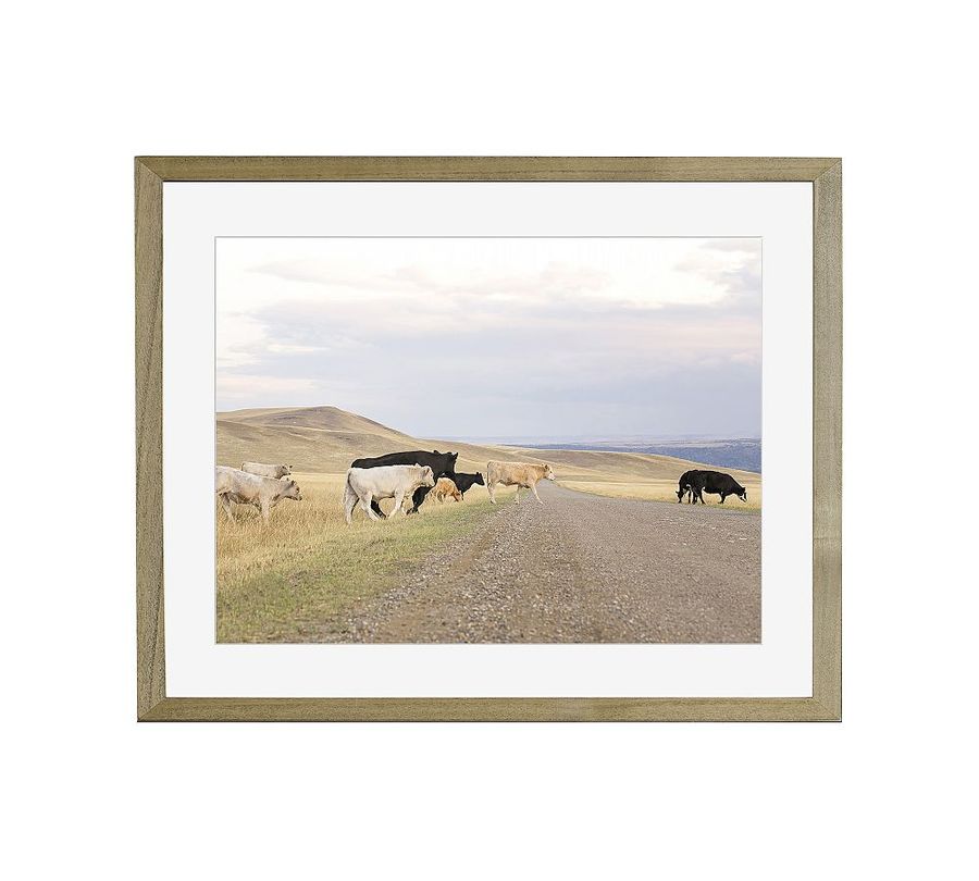 Cattle Crossing by Jennifer Meyers added by Spoak Member