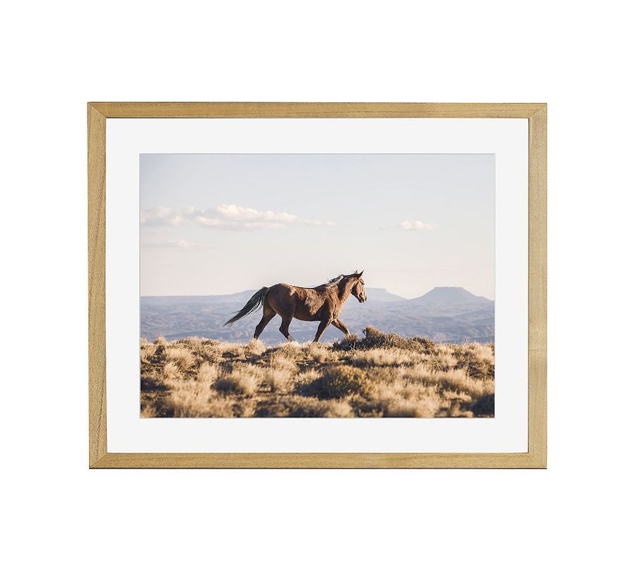 Sunrise Stallion by Jennifer Meyers added by Spoak Member