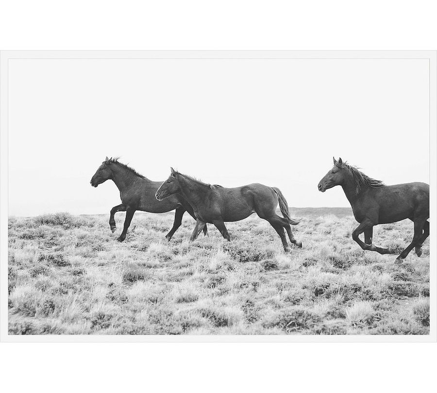 American Wild Horses by Jennifer Meyers added by Spoak Member