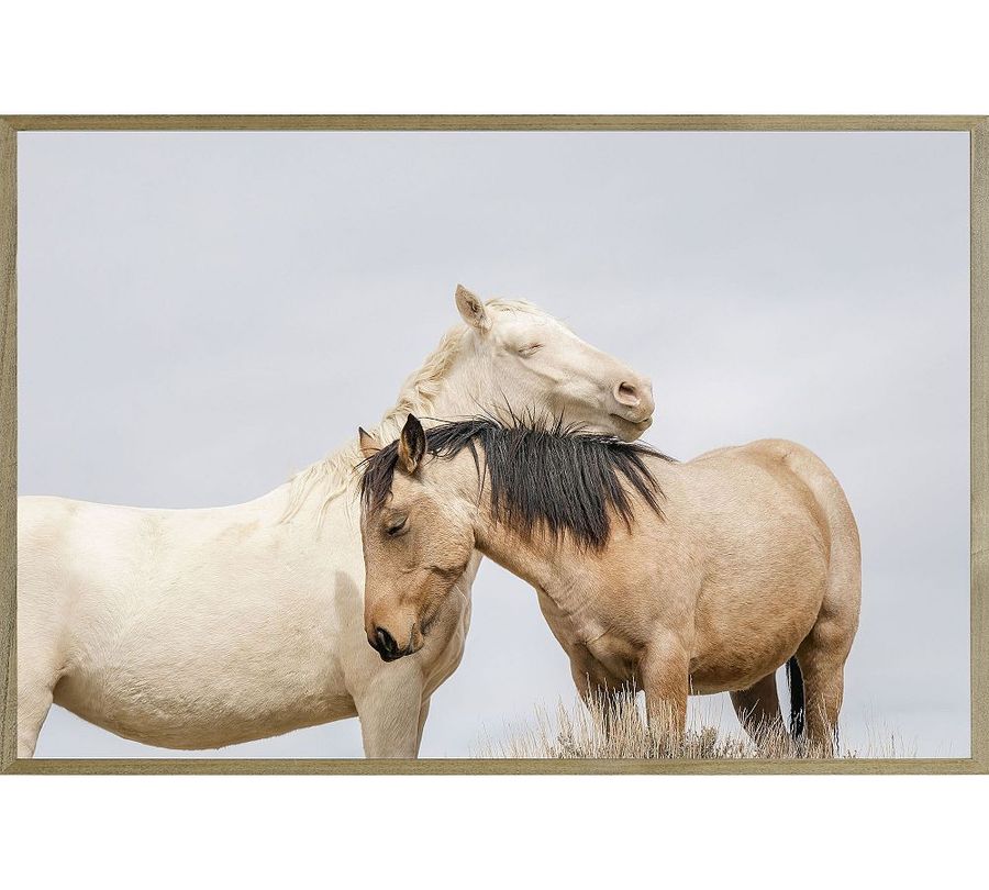 A Mother's Comfort, Wild Horses by Jennifer Meyers added by Spoak Member