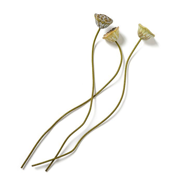 Faux Lotus Pods added by Spoak Member