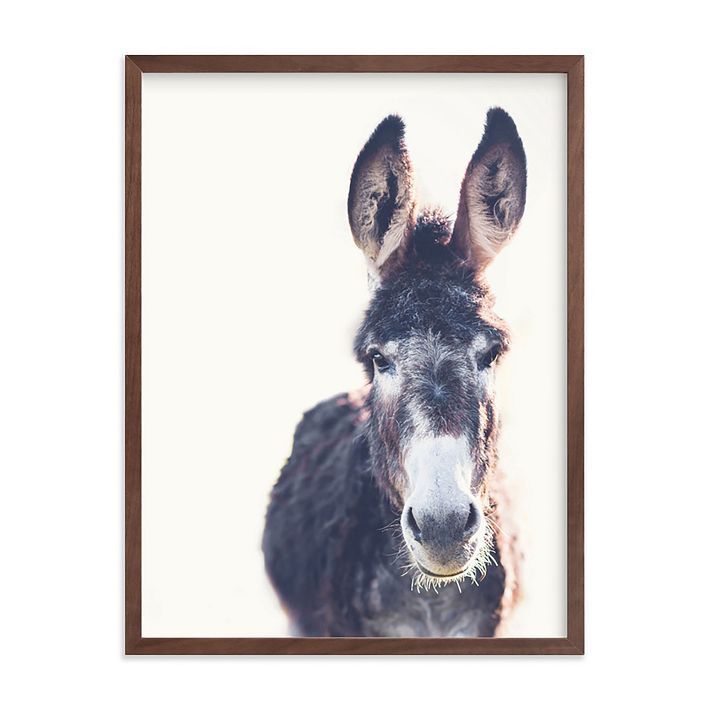 Jenny Framed Wall Art by Minted for West Elm added by Spoak Member