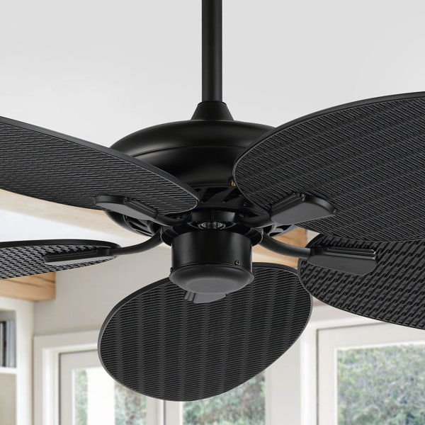 Crellin 52'' Ceiling Fan added by Olanike Bolutayo