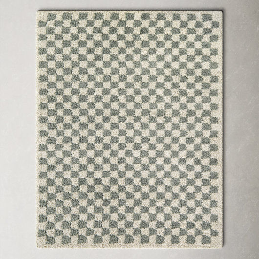 Walker Checkered Sage/Cream Shag Area Rug | AllModern added by Liz Kirby