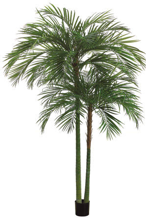 Tori Home Areca Palm Tree in Pot | Wayfair added by Taylor McGowan
