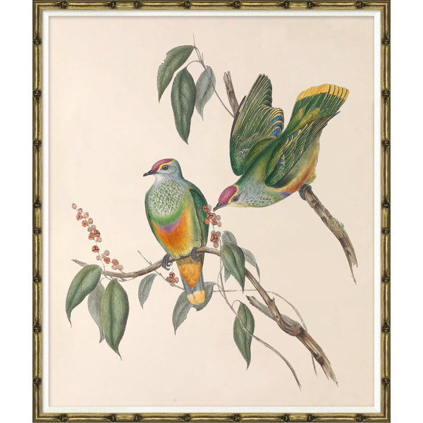 Love Birds by Soicher Marin added by Jennifer Hickey