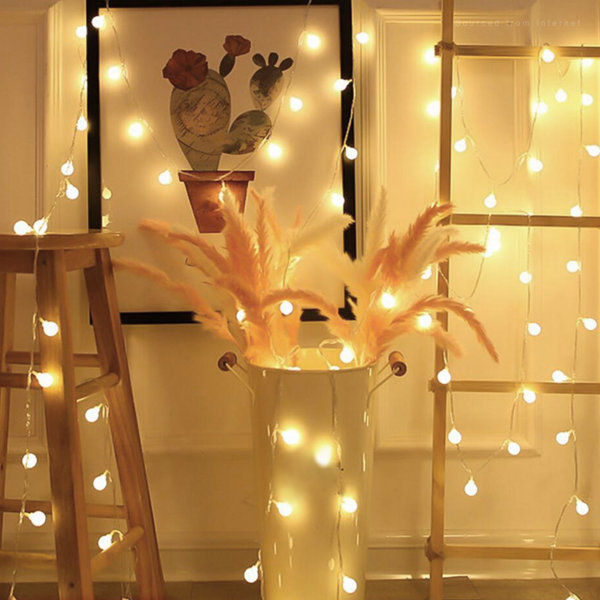 33'' Indoor LED 100 - Bulb Globe String Light, Fairy String Lights added by Liz Kirby