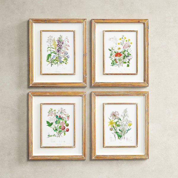 'Garden Botanical' - 4 Piece Picture Frame Painting Print Set on Paper added by Where The Heart Is Designs