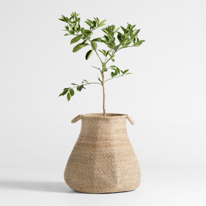 Nes Round Woven Basket 25" by Brigette Romanek added by Spoak Member