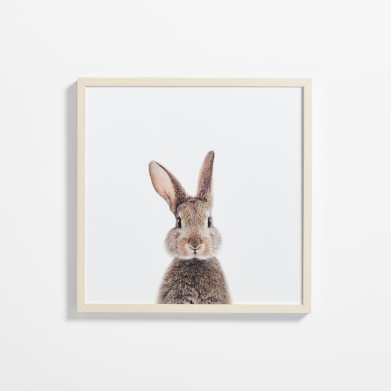 Baby Bunny Maple Wood Framed Wall Art Print added by Spoak Member