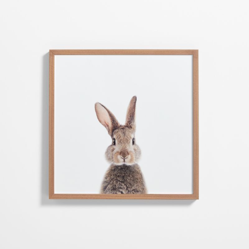 Baby Bunny Walnut Wood Framed Wall Art Print added by Spoak Member