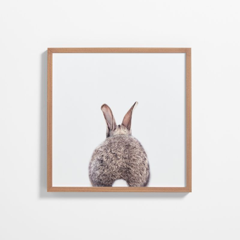 Baby Bunny Tail Walnut Wood Framed Wall Art Print added by Spoak Member