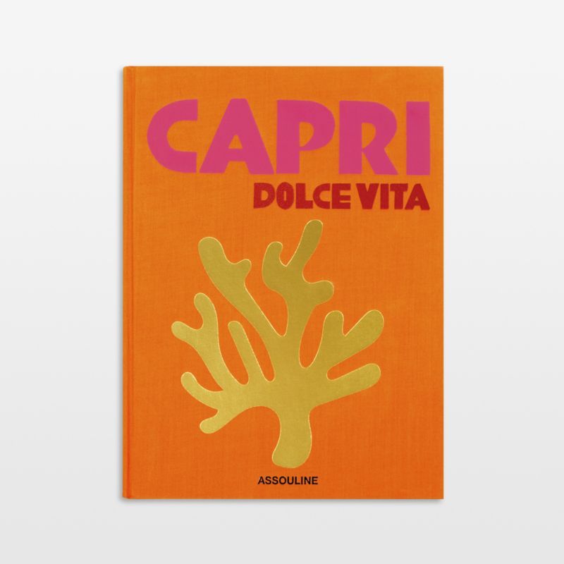"Capri Dolce Vita" Travel Photography Book by Assouline Publishing added by Spoak Member