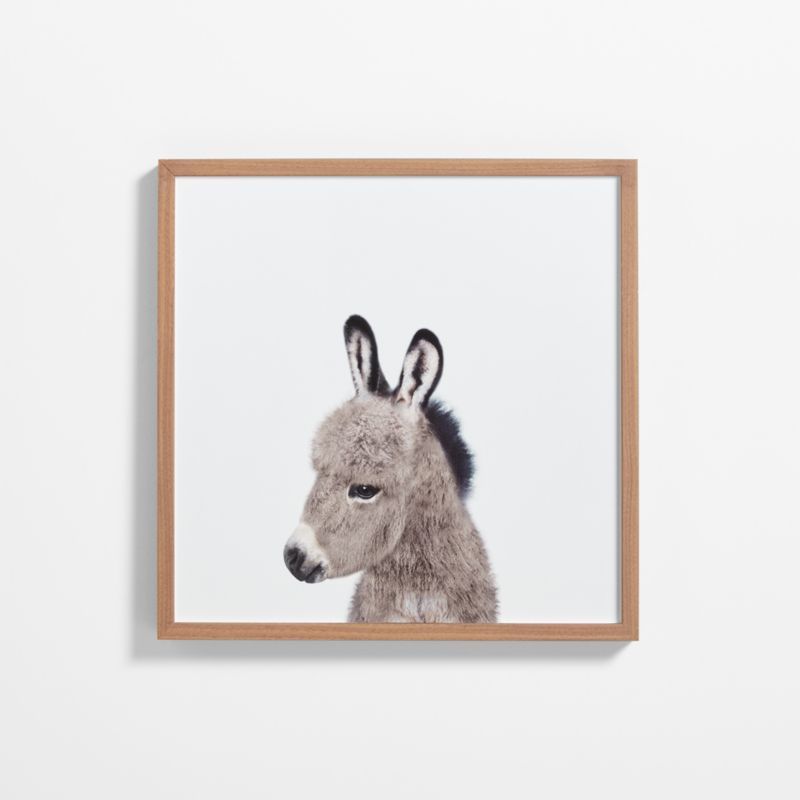 Baby Donkey Walnut Wood Framed Wall Art Print added by Spoak Member