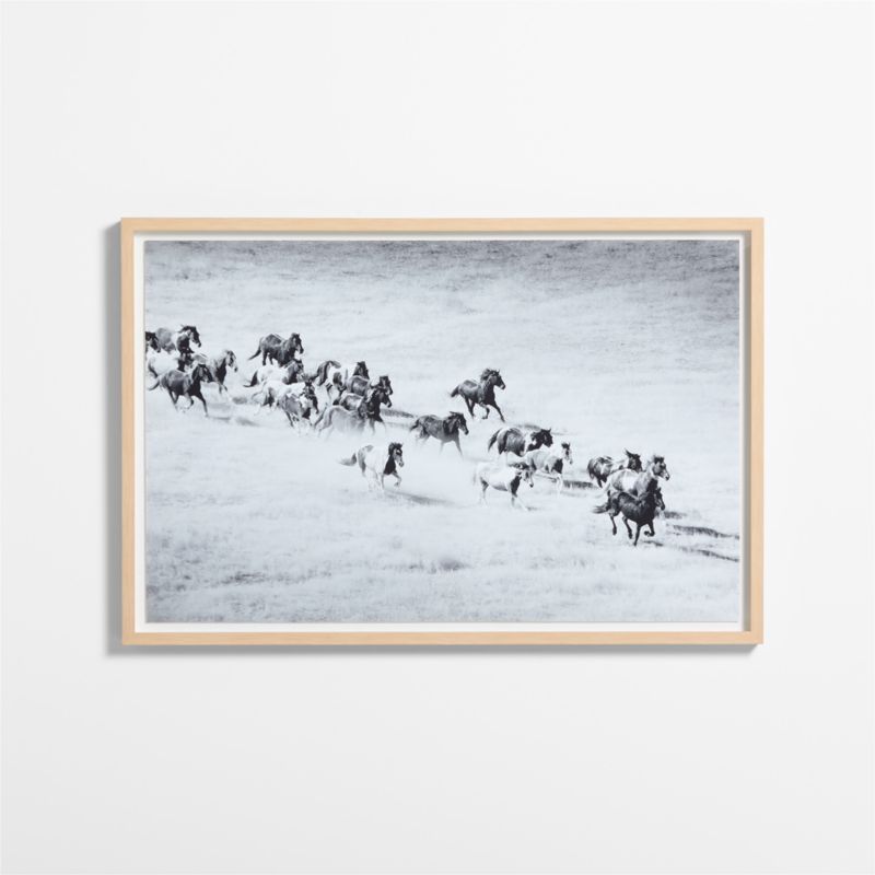"Horse Herd" by Jennifer MaHarry 51"x34" Framed Photography Print added by Spoak Member