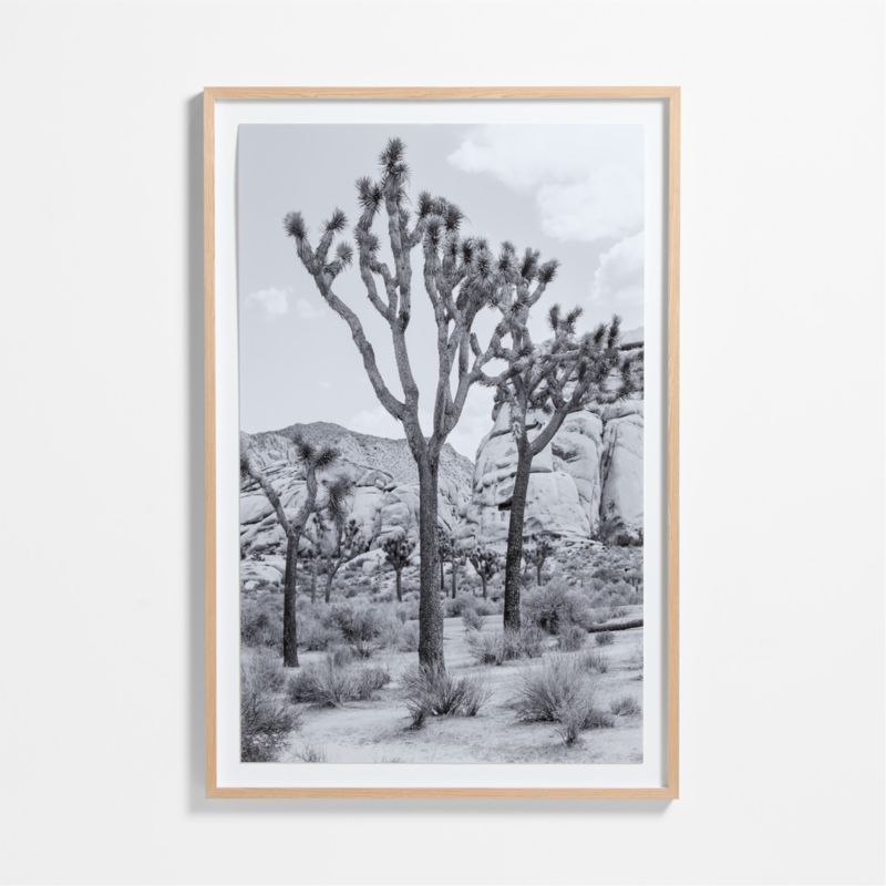 "Joshua Tree" by Tatiana Alexandra 40"x60" Framed Photography Print added by Spoak Member