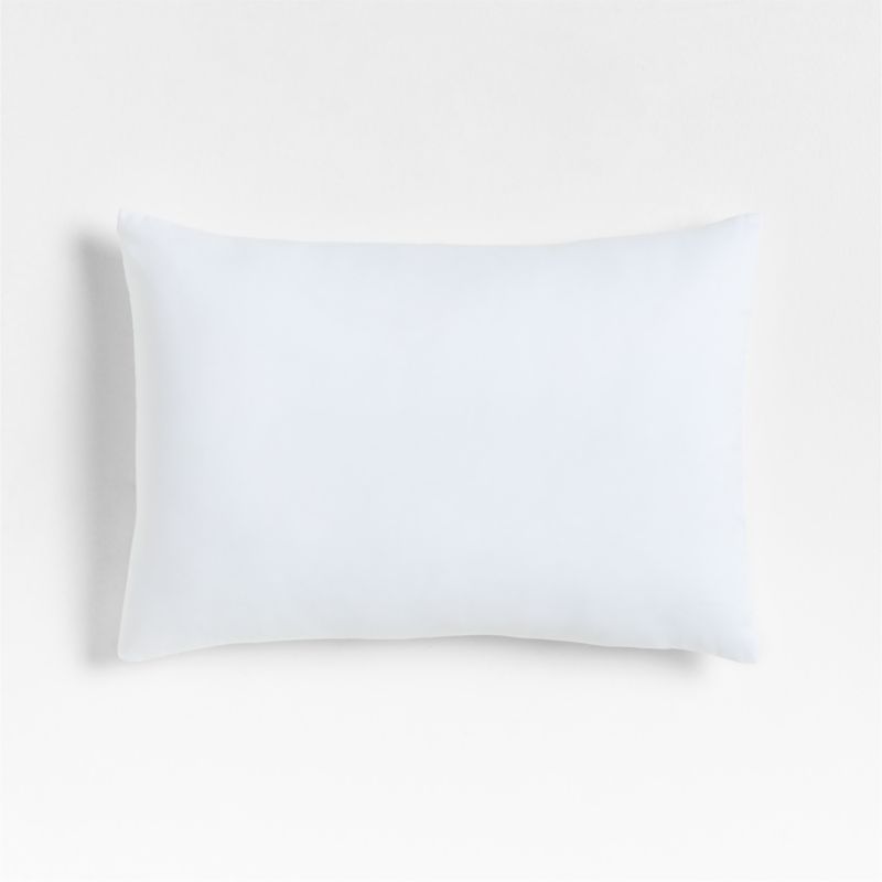 Recycled Down-Alternative Fill 22"x15" Pillow Insert added by Spoak Member