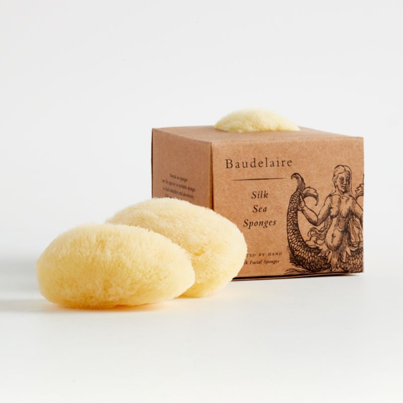 Silk Sea Sponge added by Spoak Member