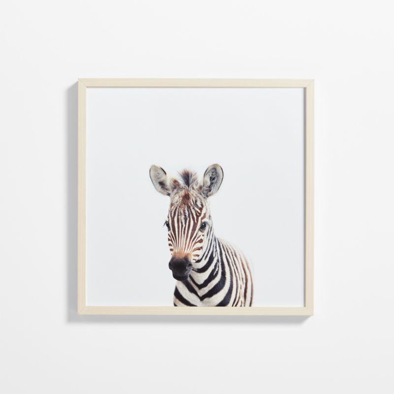 Baby Zebra Maple Wood Framed Wall Art Print added by Spoak Member