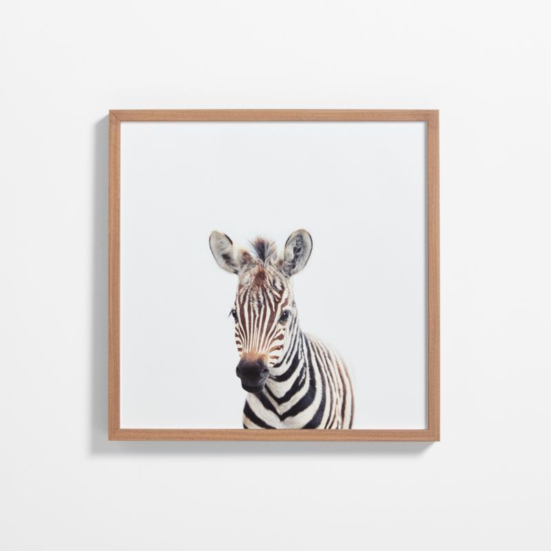 Baby Zebra Walnut Wood Framed Wall Art Print added by Spoak Member
