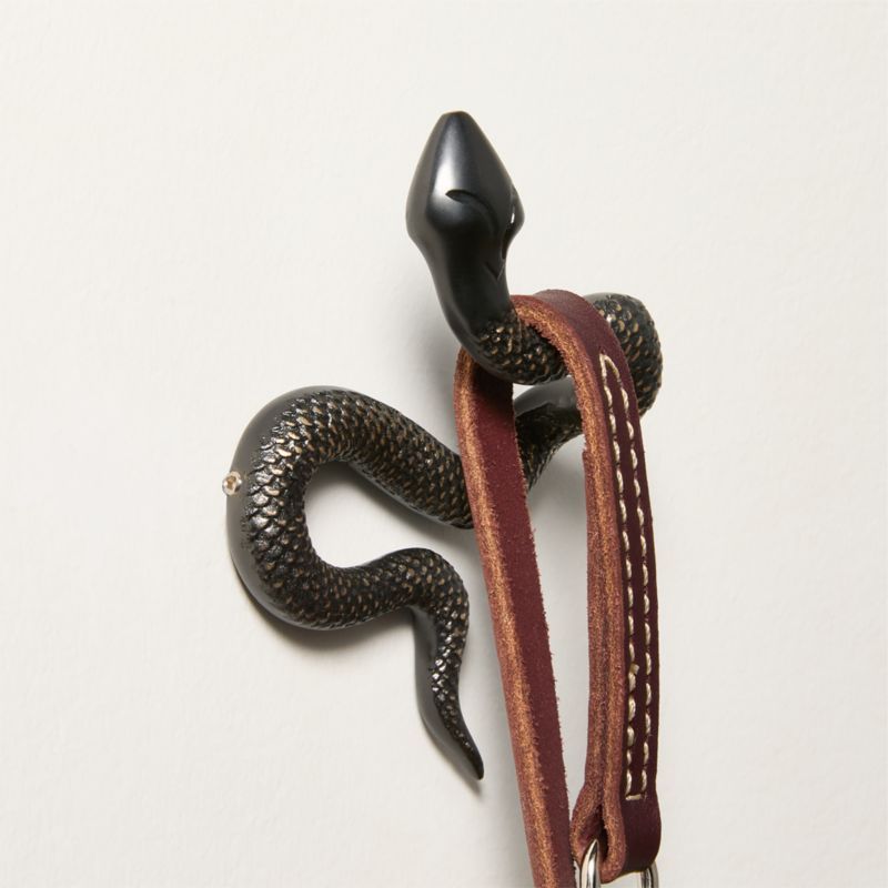 Blackened Brass Snake Wall Hook + Reviews | CB2 added by Spoak Member